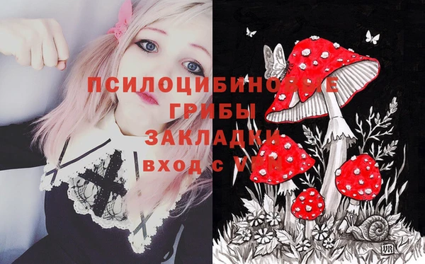 spice Баксан
