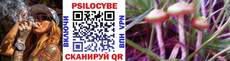 Псилоцибиновые грибы Psilocybe  купить закладку  Сретенск 